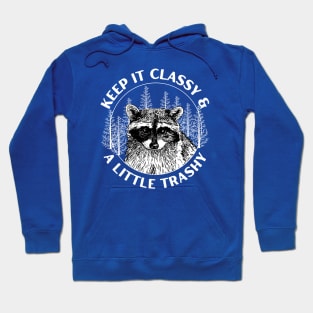 Keep It Classy & Little Trashy Funny Raccoon Saying Hoodie